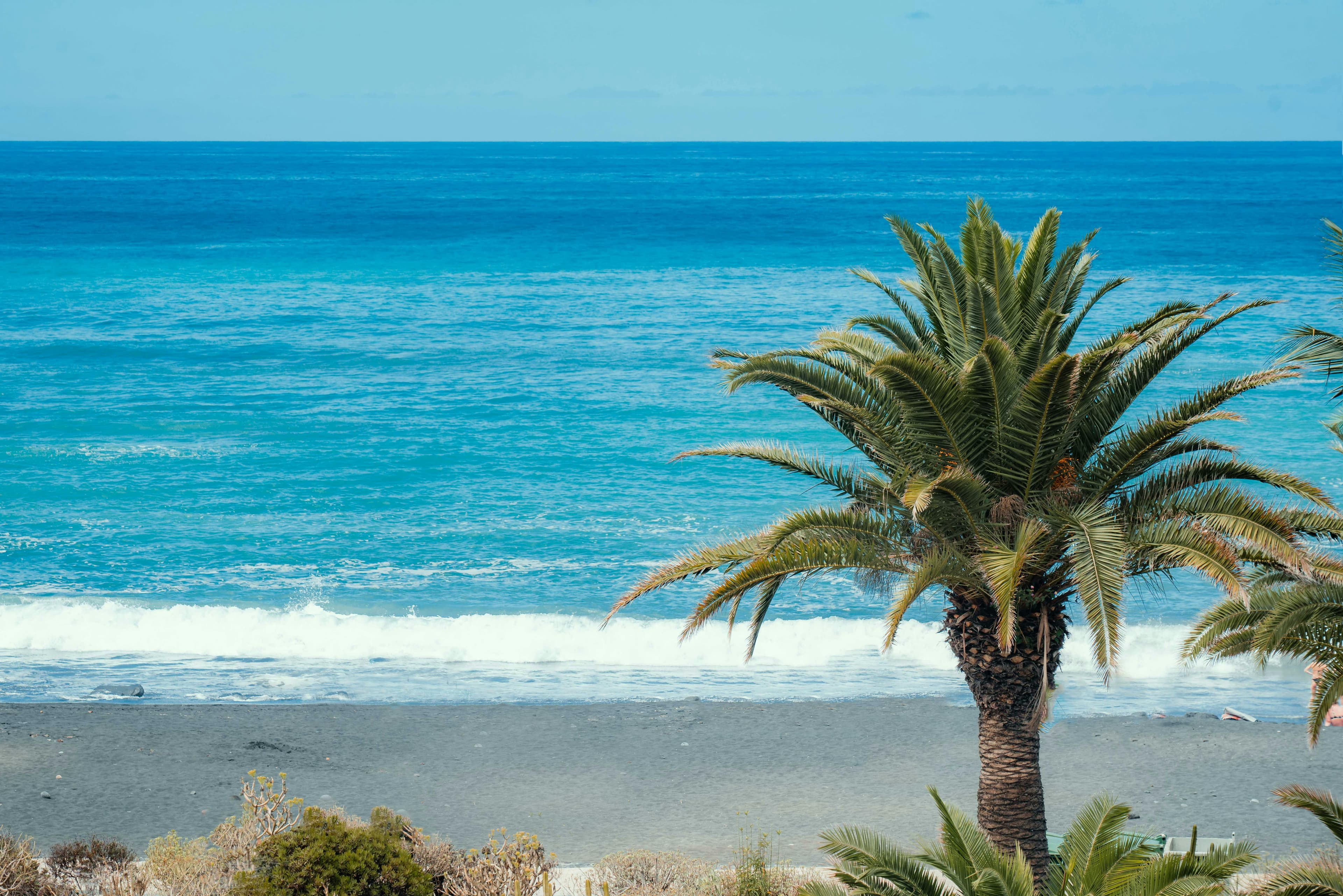 Costa Tropical